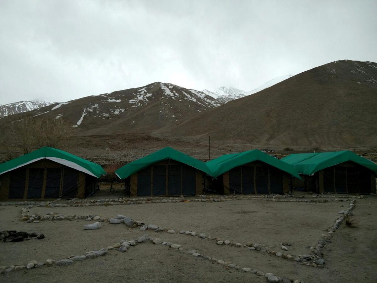 Pangong Delight Camps And Cottages Spangmik Kültér fotó