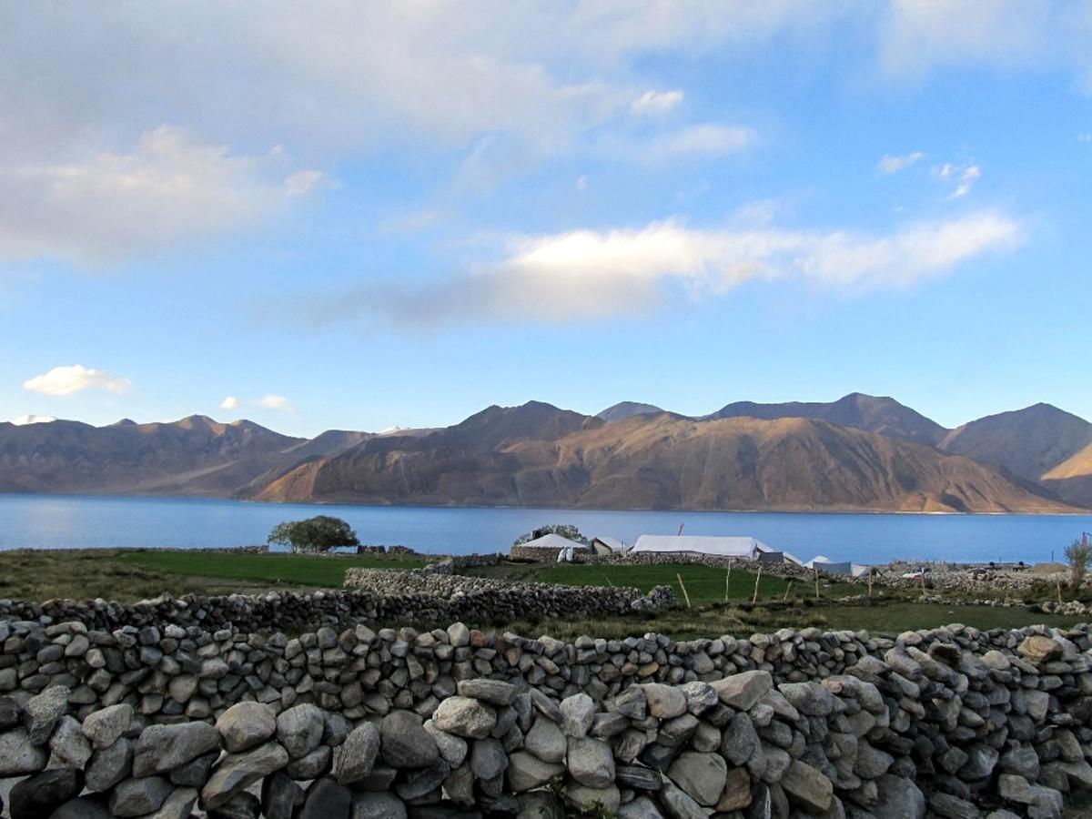 Pangong Delight Camps And Cottages Spangmik Kültér fotó