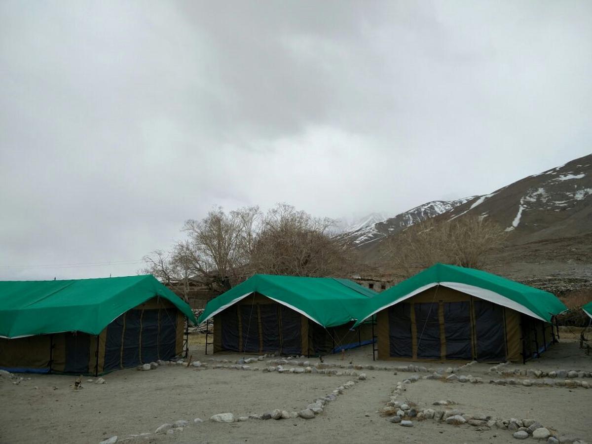 Pangong Delight Camps And Cottages Spangmik Kültér fotó