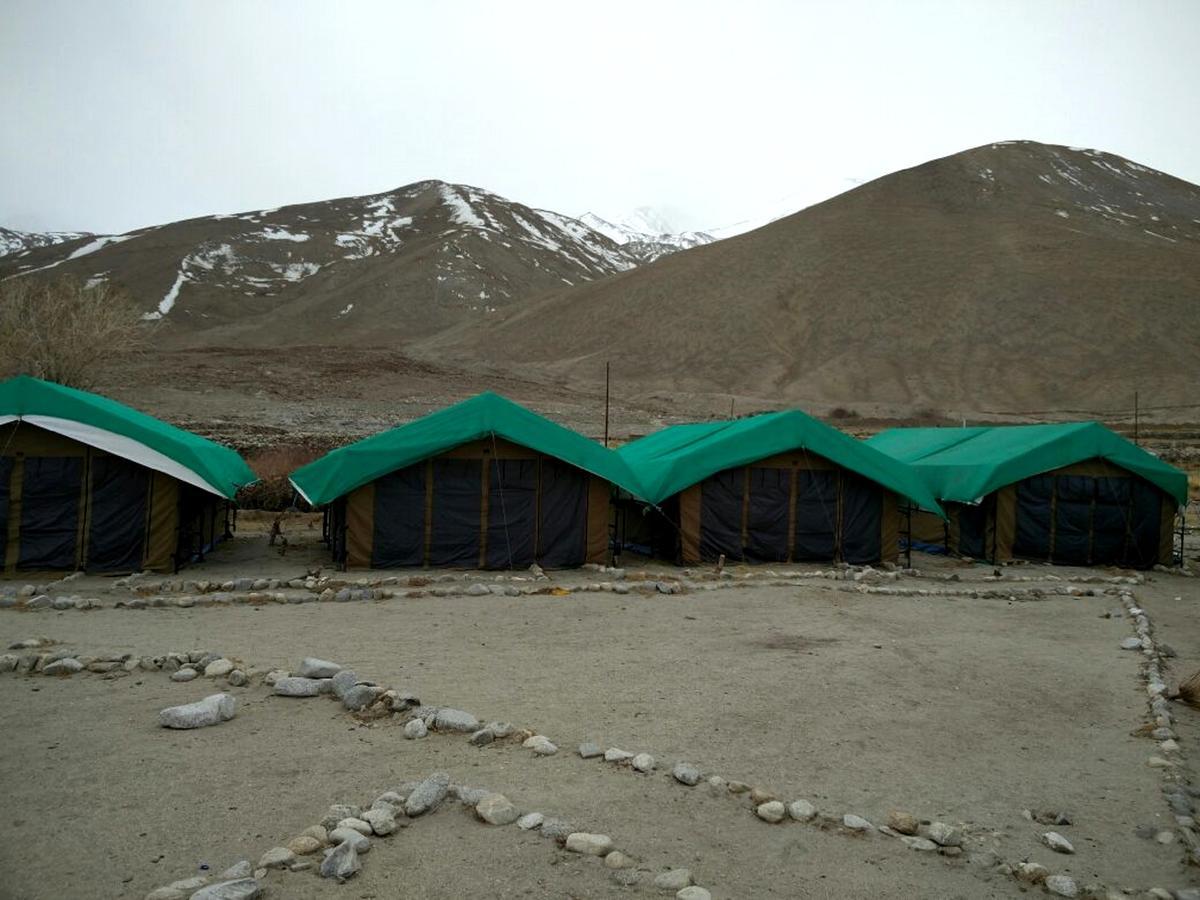 Pangong Delight Camps And Cottages Spangmik Kültér fotó